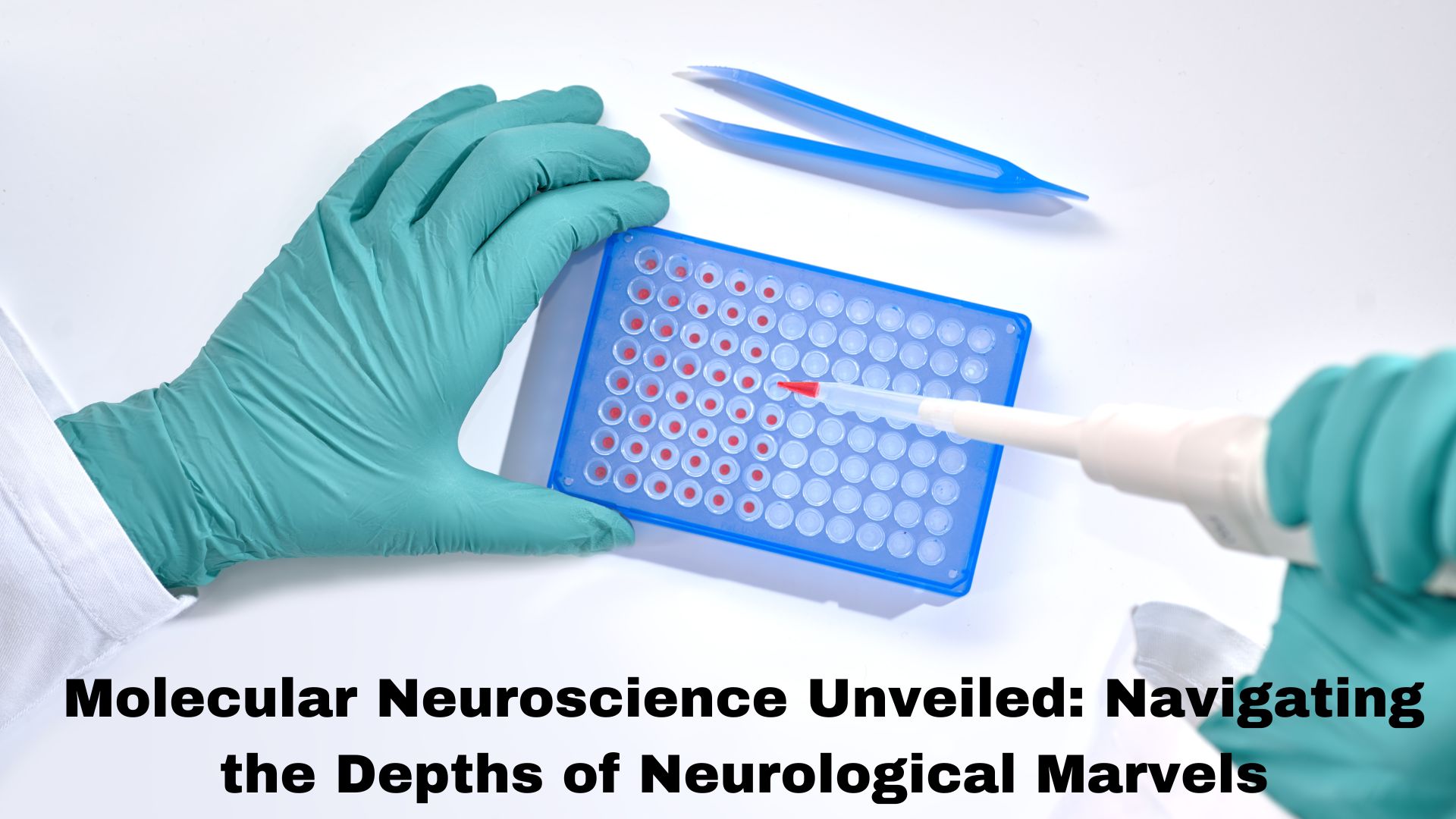 Molecular Neuroscience Unveiled Navigating the Depths of Neurological Marvels