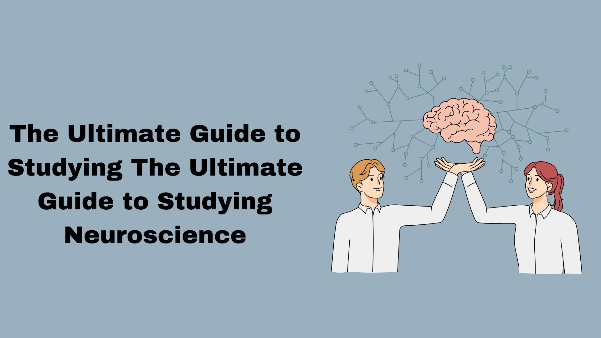 The Ultimate Guide to Studying Neuroscience