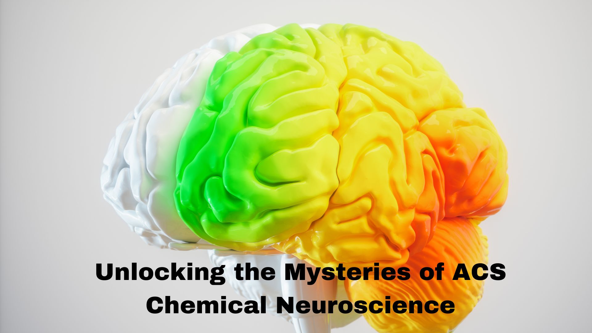 Unlocking the Mysteries of ACS Chemical Neuroscience